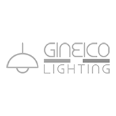 Gineico Lightning| Combination logo design| Light bulb ideas| Custom | Colorful line| Simple| Modern| Design solutions
